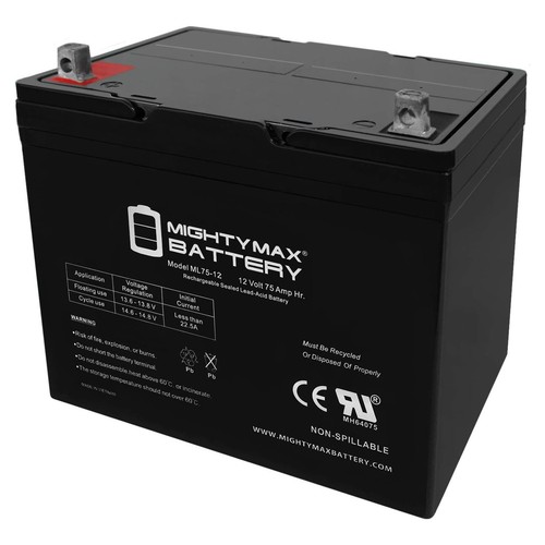 Mighty max 12v - max,